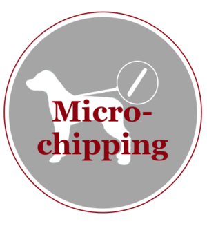 Micro-chipping