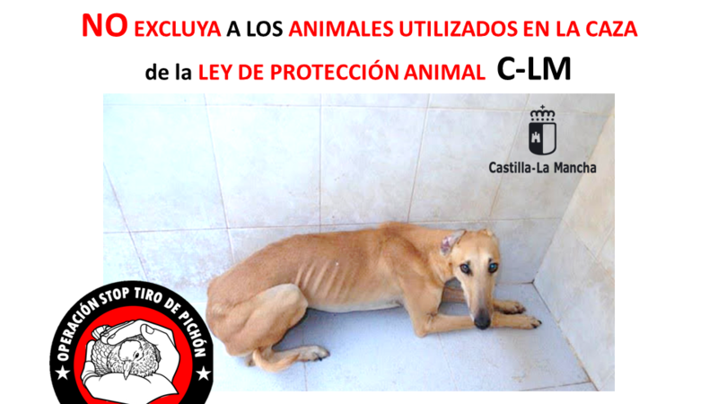 Castilla-La Mancha: NO excluya a los perros de caza de la ley de bienestar animal