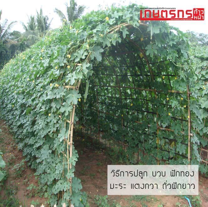 My Image 15