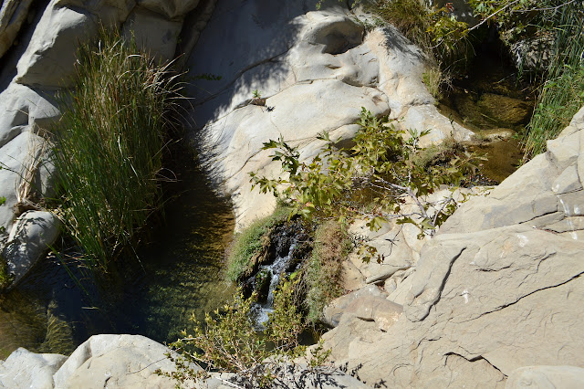 little pools in the sandstone