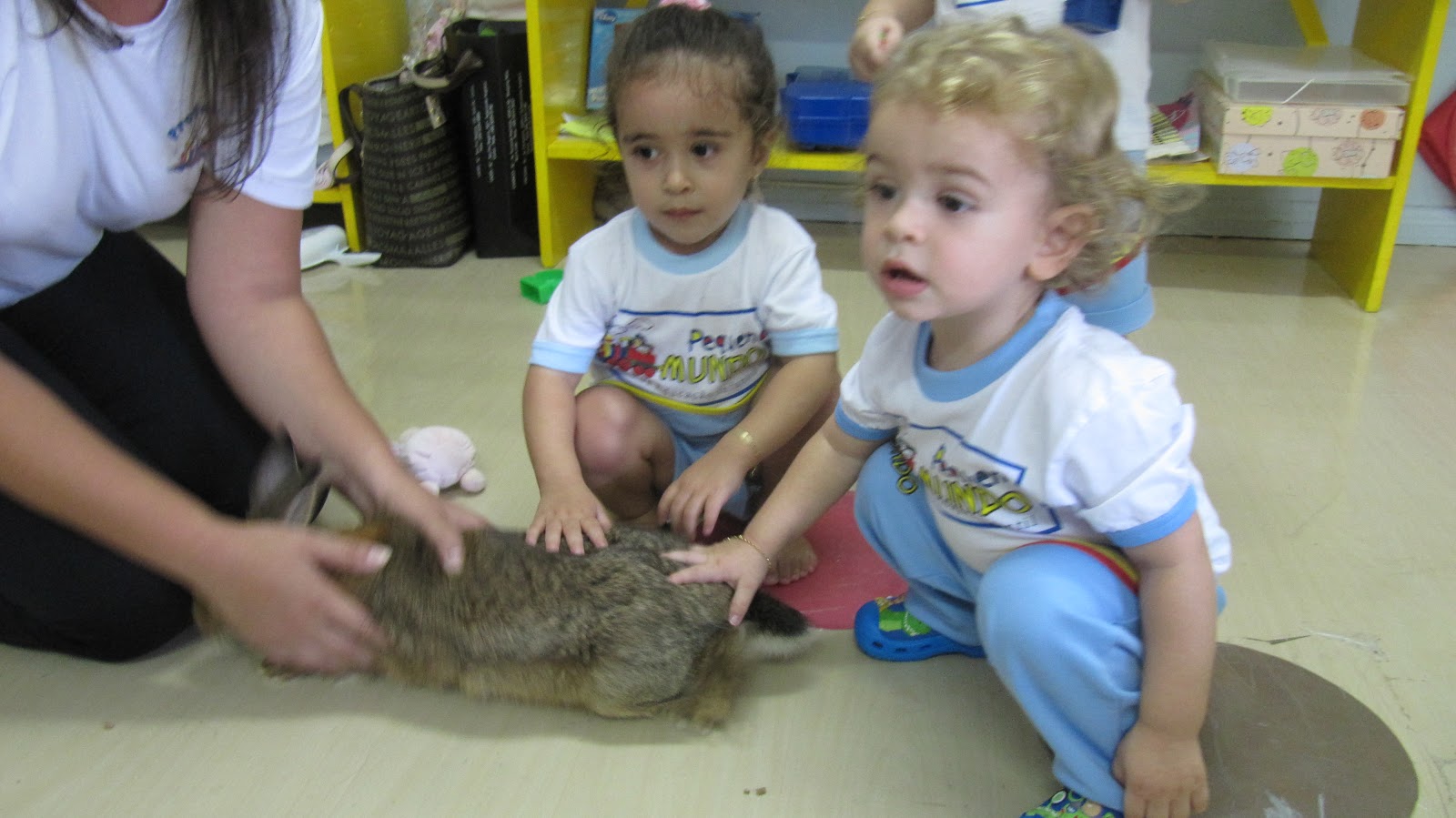 Centro de Educação Infantil Pequeno Mundo