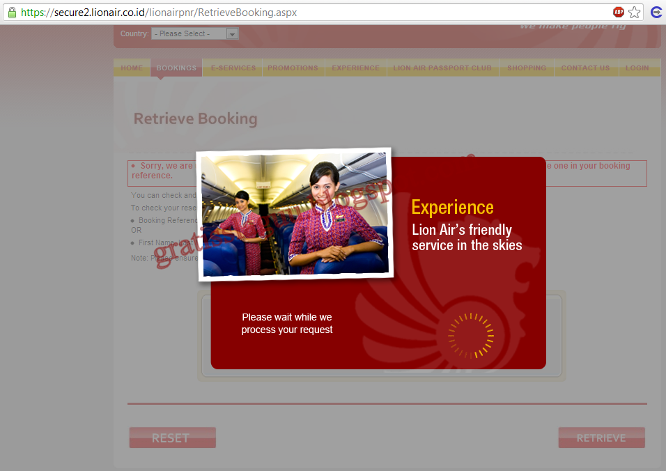 Cara Print Tiket Lion Air yang sudah di booking secara online - Sindo