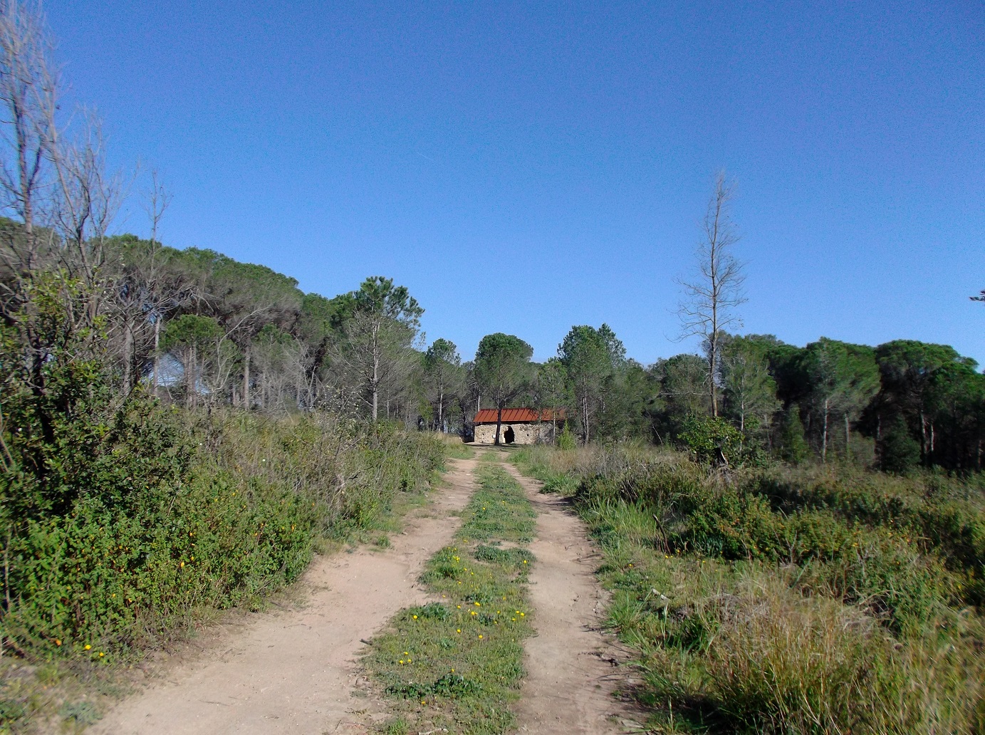 Rutes a peu de petit desnivell prop de Girona 72. Sidillà i St