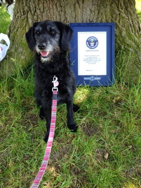 Imogen And Millie Millie s Achievements