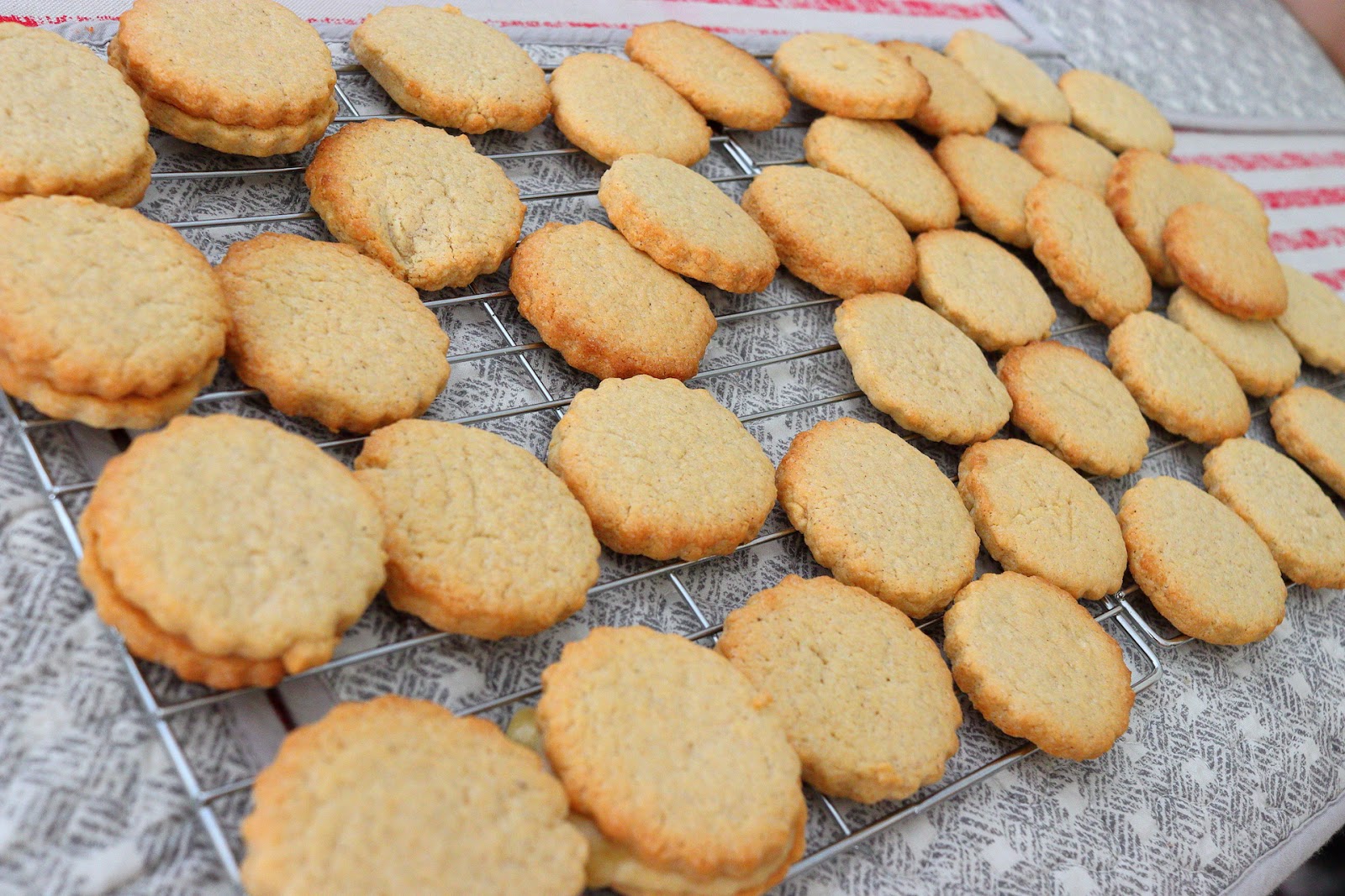 The Aussie Van's: Baking 