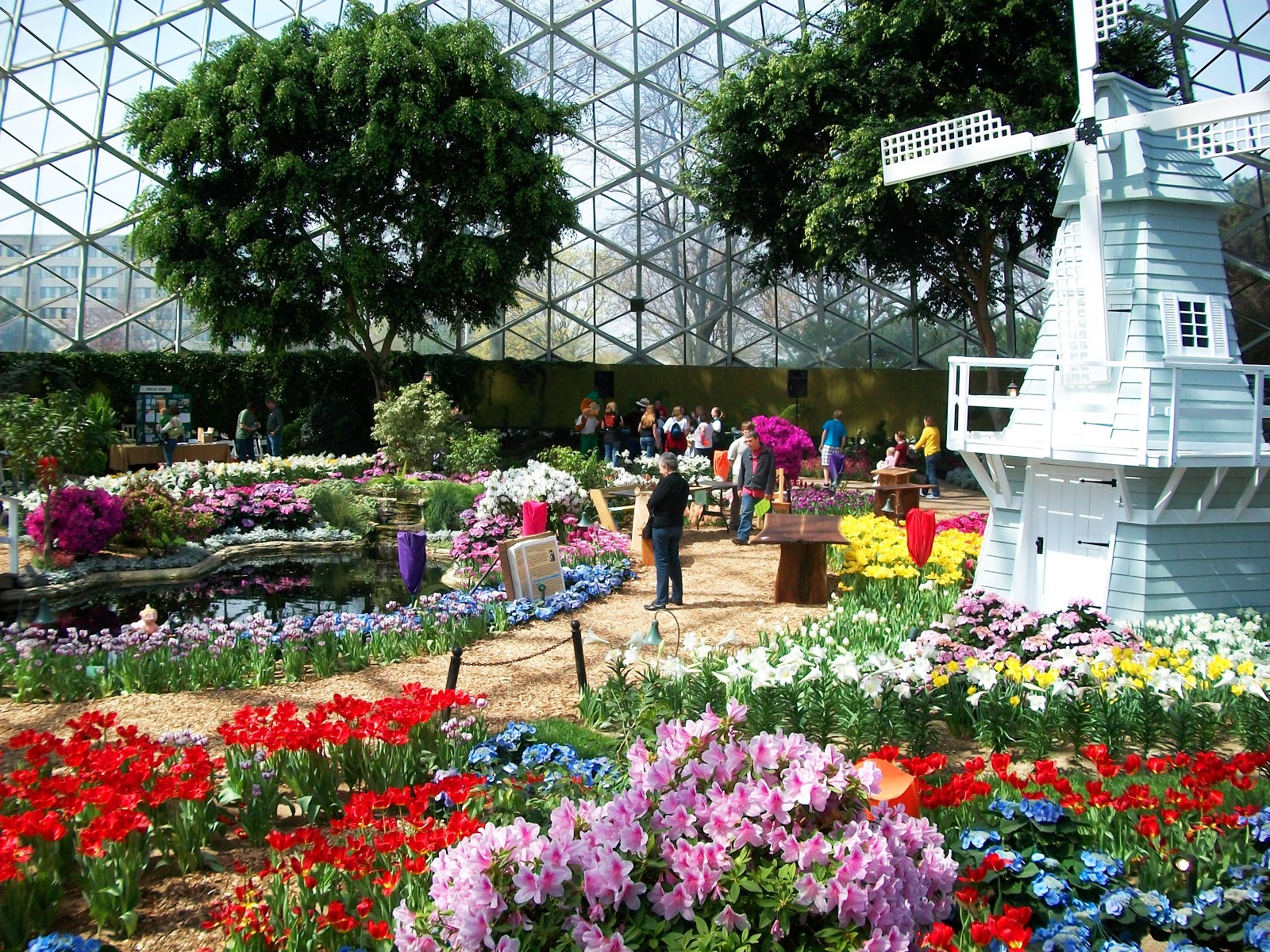 Midwestern City Girl Inside the Mitchell Park Domes