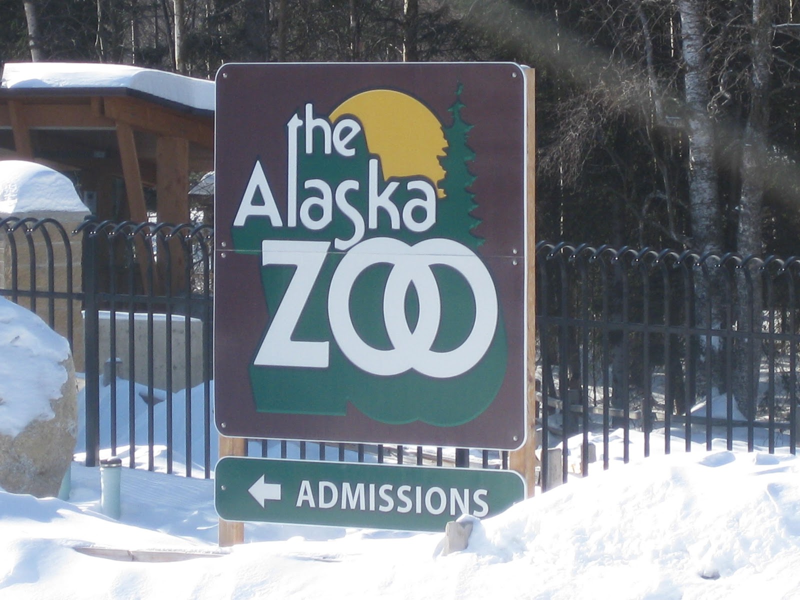 Alaska's Kids The Alaska Zoo