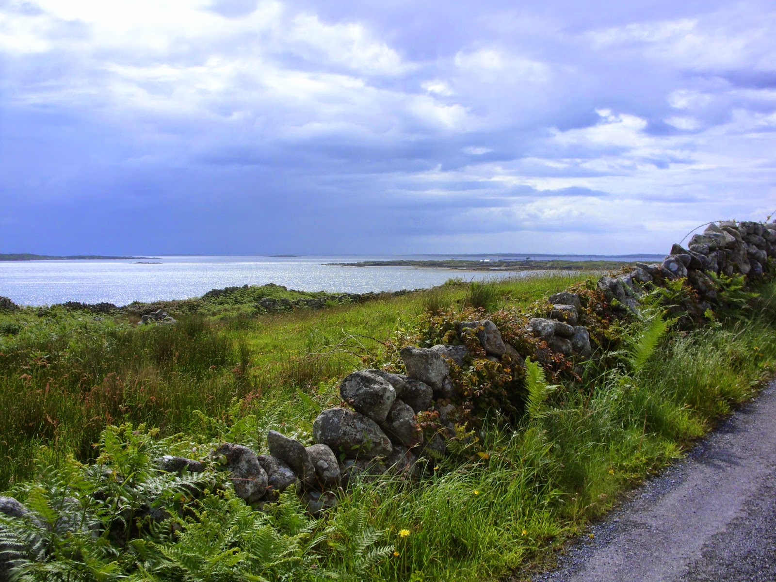 The Random Life Of Aveen My Gaeltacht Experience!