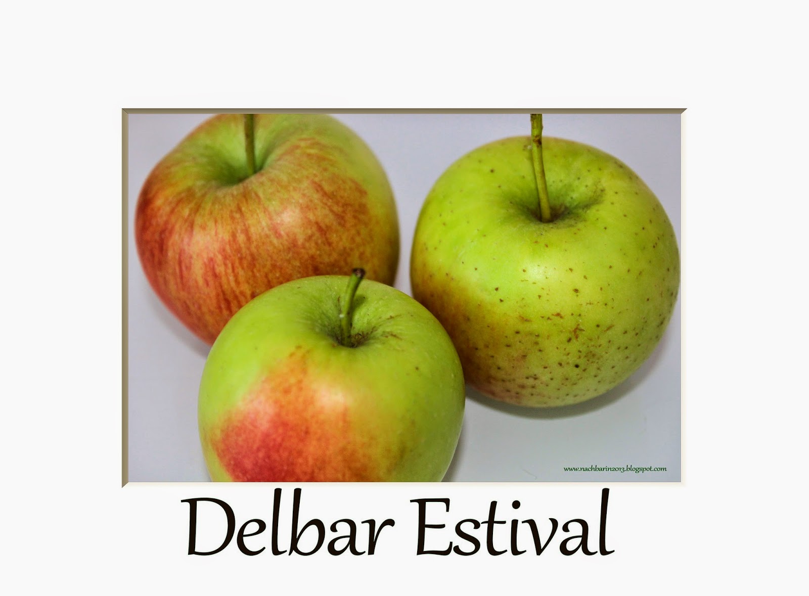 Die lästige Nachbarin: 2014