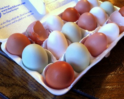 Brown, Blue & White Farm-Raised Eggs ♥ KitchenParade.com