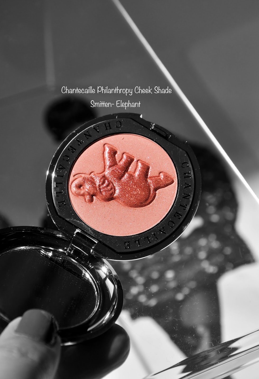 Chantecaille Philanthropy Cheek Shade Smitten-Elephant swatches