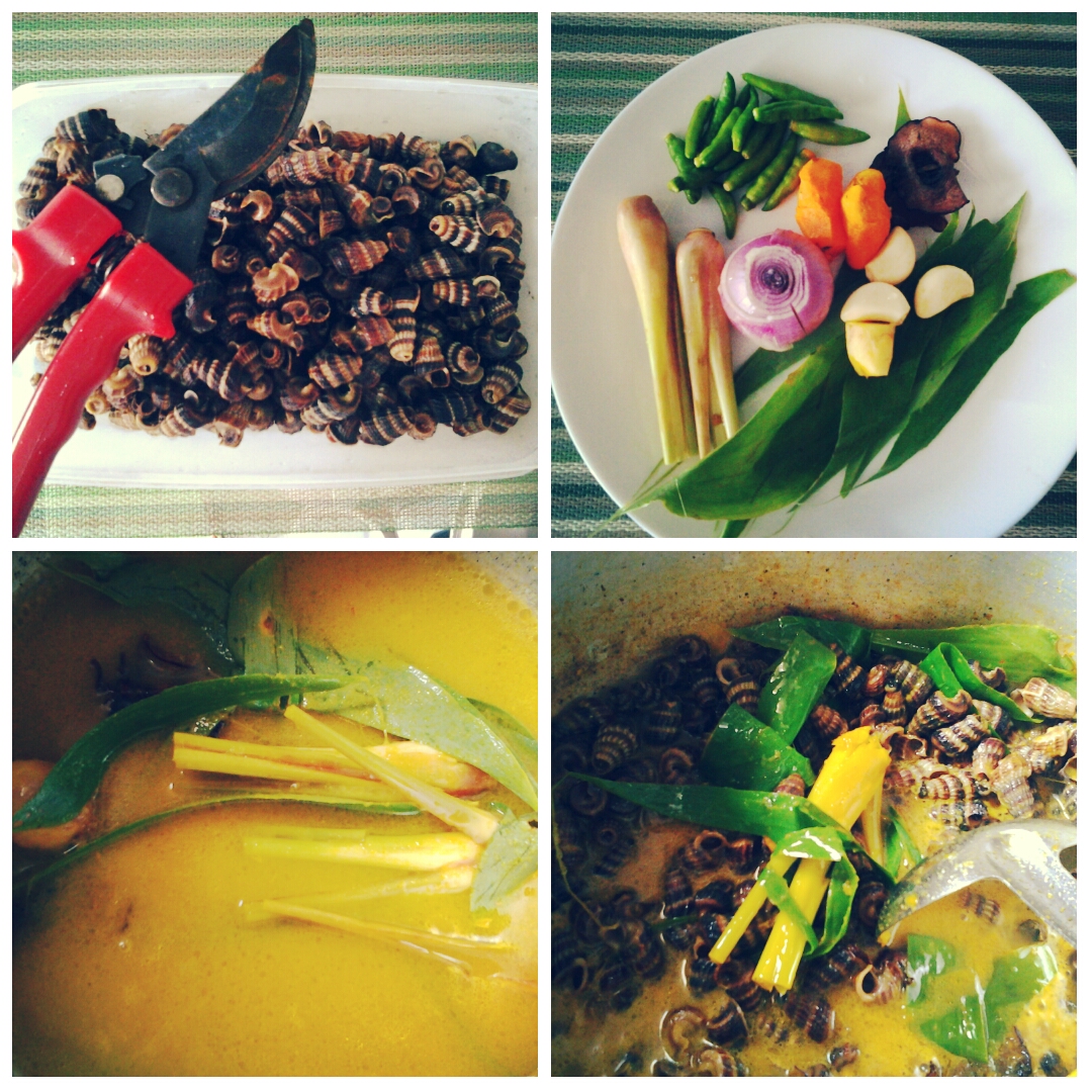 Magazinesbymeen Siput Sedut Masak Lemak Cili Api