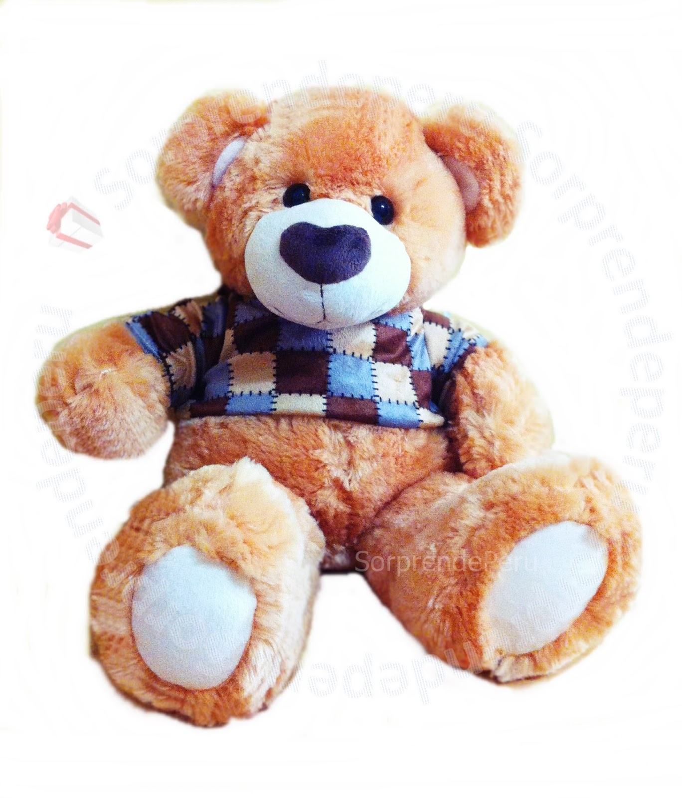 Oso de Peluche ENVIA DETALLES PERU