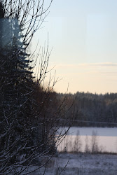 VINTER