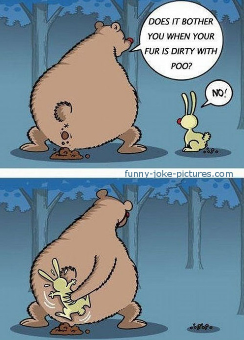 Hilarious Bear Rabbit Fur Poo Joke Cartoon