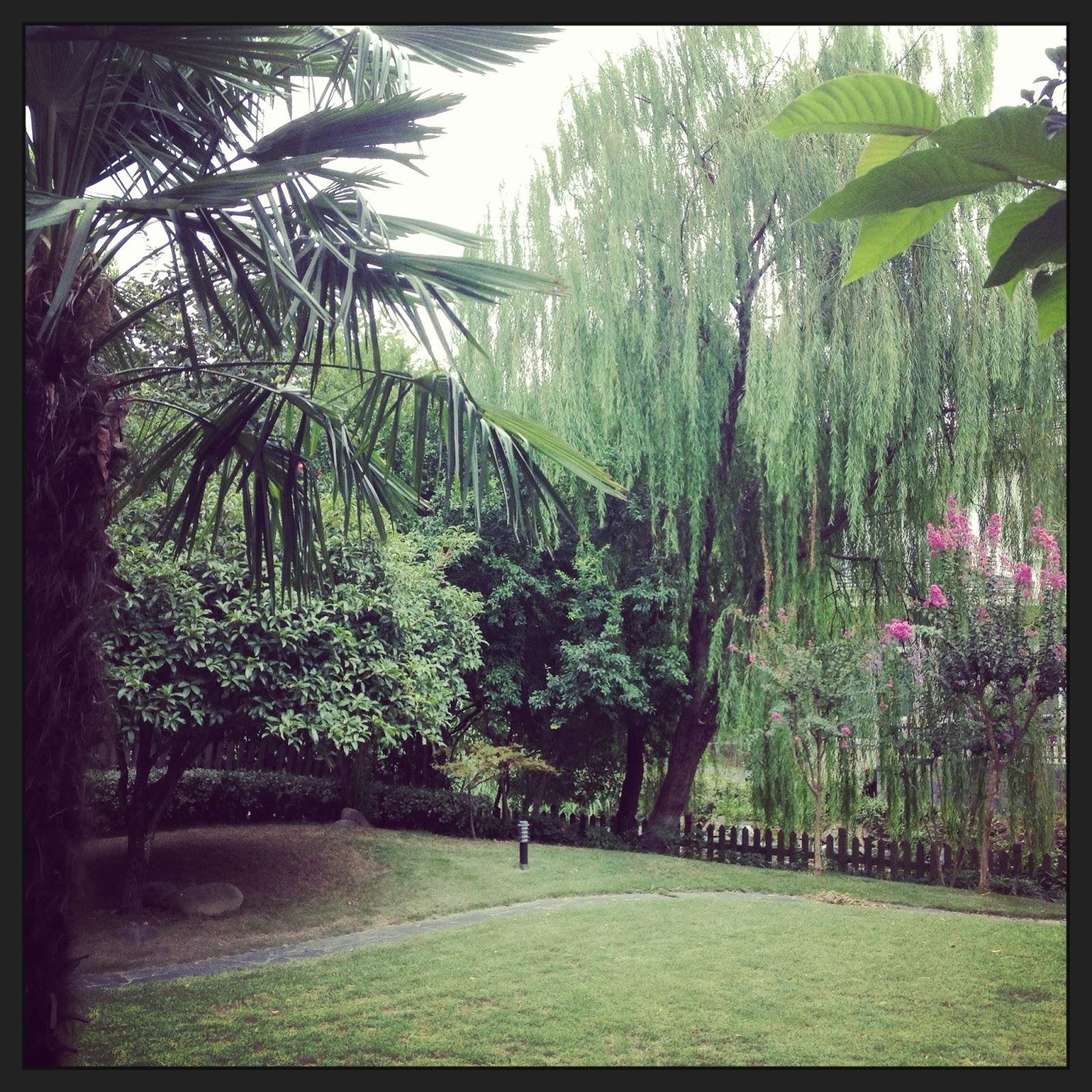 Leben in Shanghai: Unser Garten