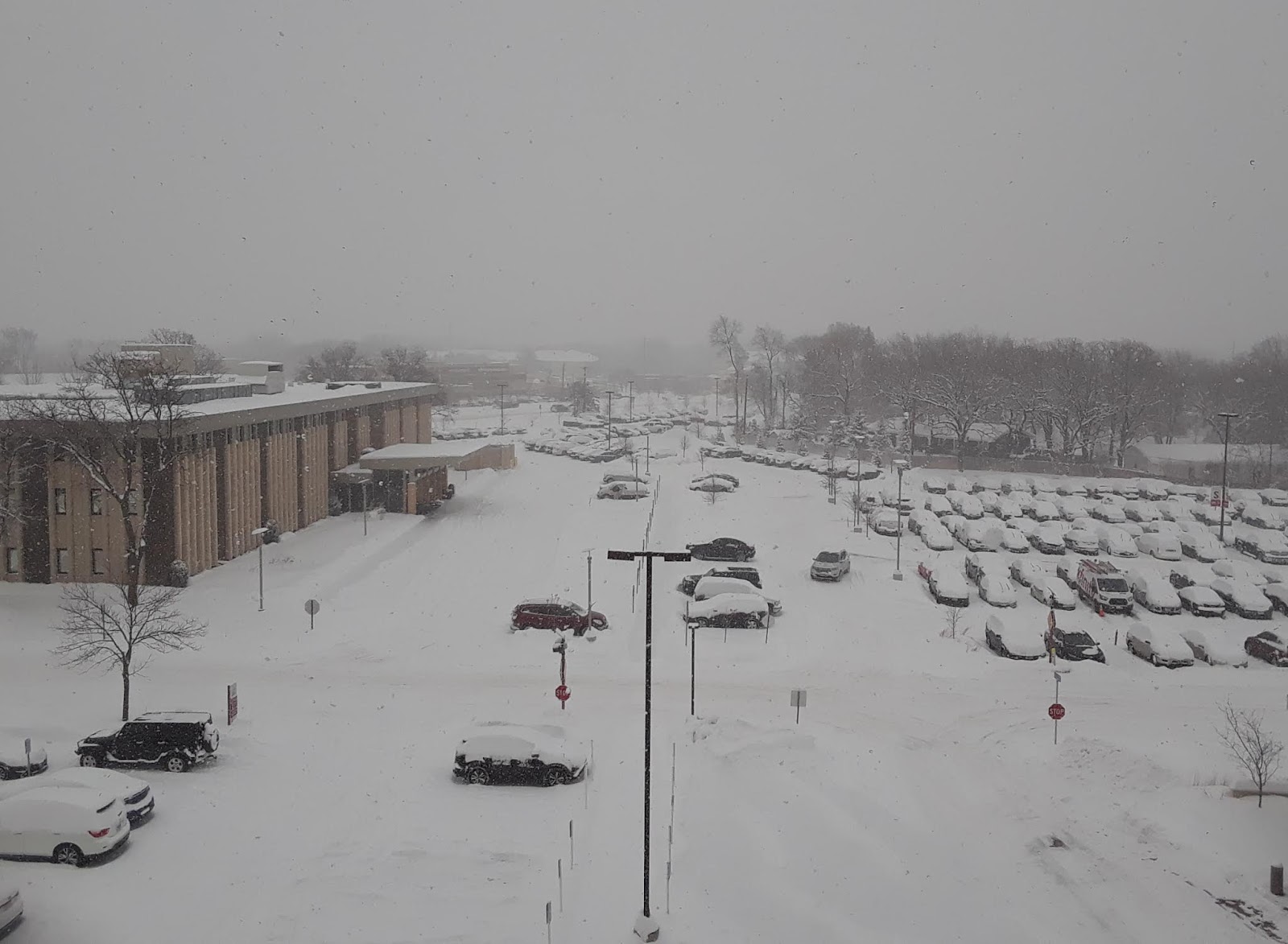 The Wild Reed: A New Snowfall Record