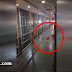 Globo "endemoniado" aterroriza a trabajadores en hospital