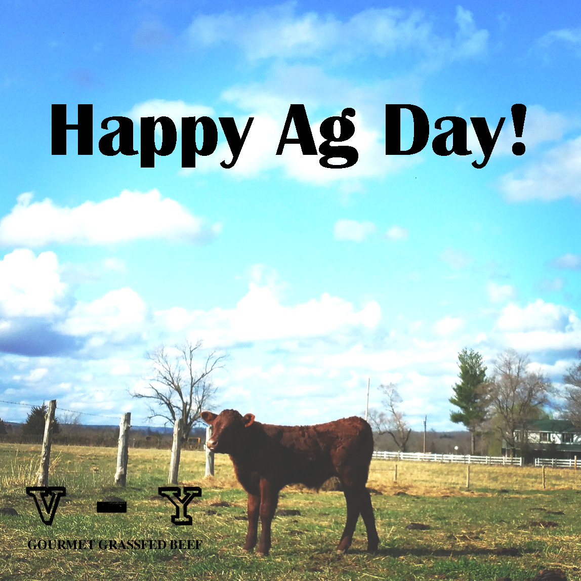 Farming Foible, or an Agrarian Adventure? Happy National Agriculture Day!