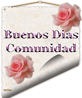 Résultat de recherche d'images pour "gif La comunidad"