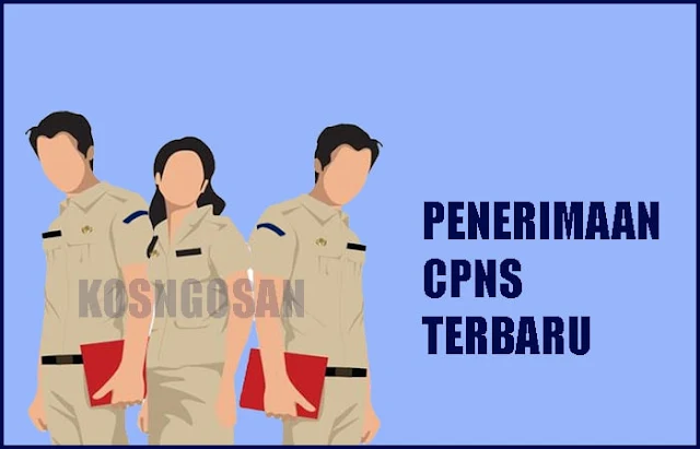 Syarat Penerimaan CPNS dan PPPK