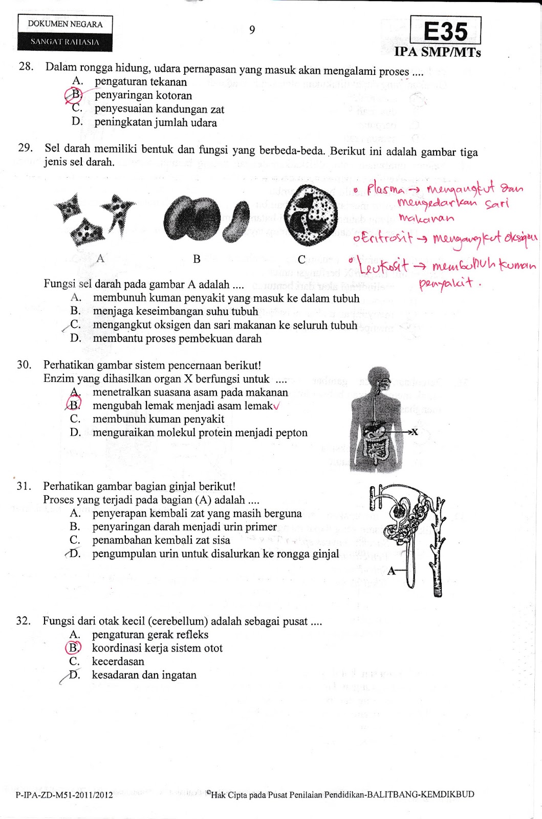 Soal Toefl Dan Pembahasannya Pdf Soal Toefl Dan Pembahasannya Pdf