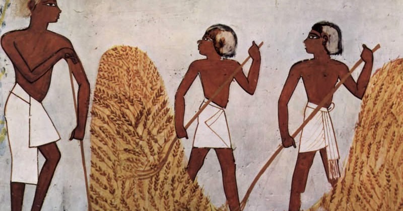 Die Landwirtschaft aller Länder: Ägypten