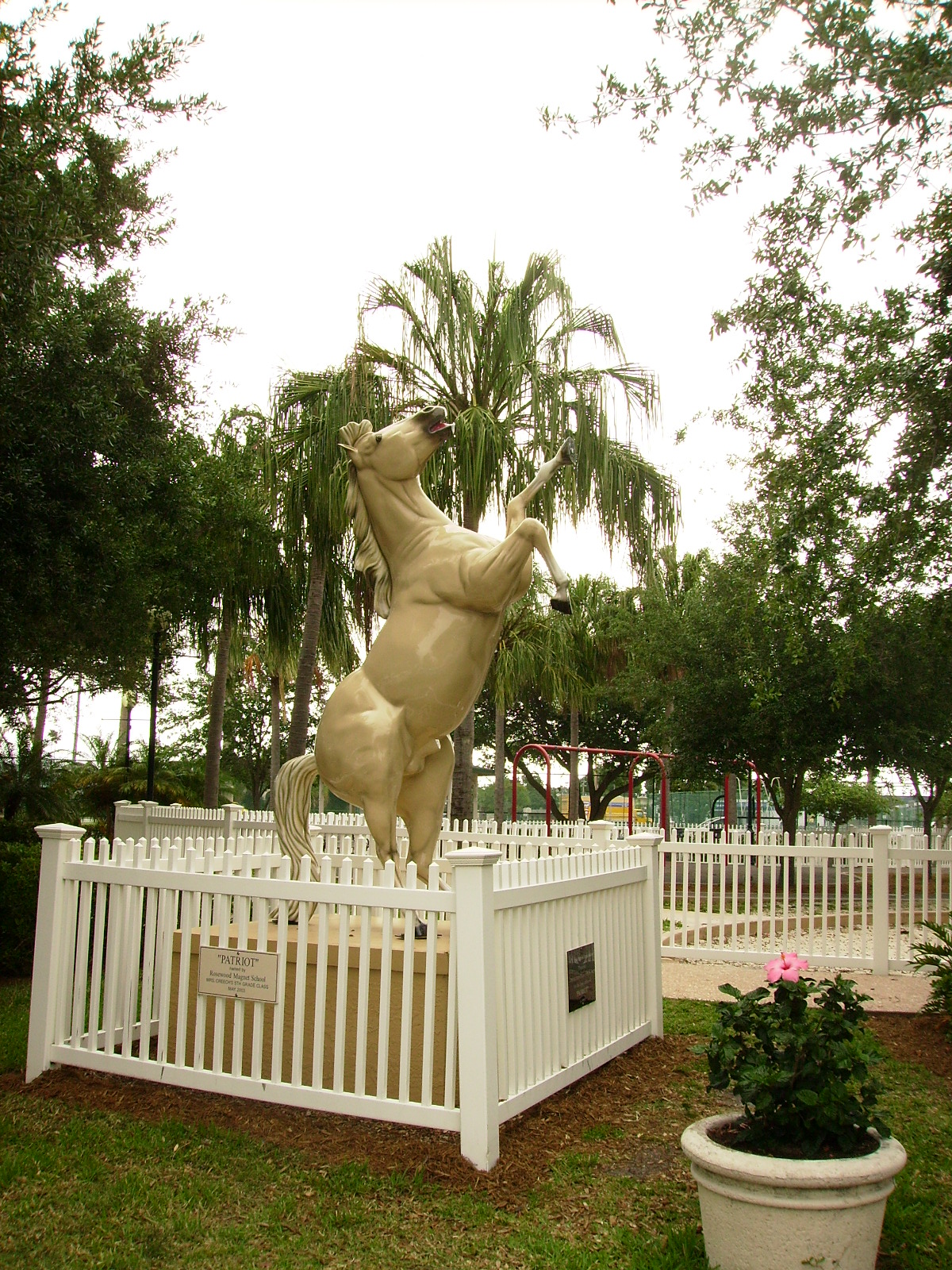 Being a Florida Newbie, or Living the Tropical Life