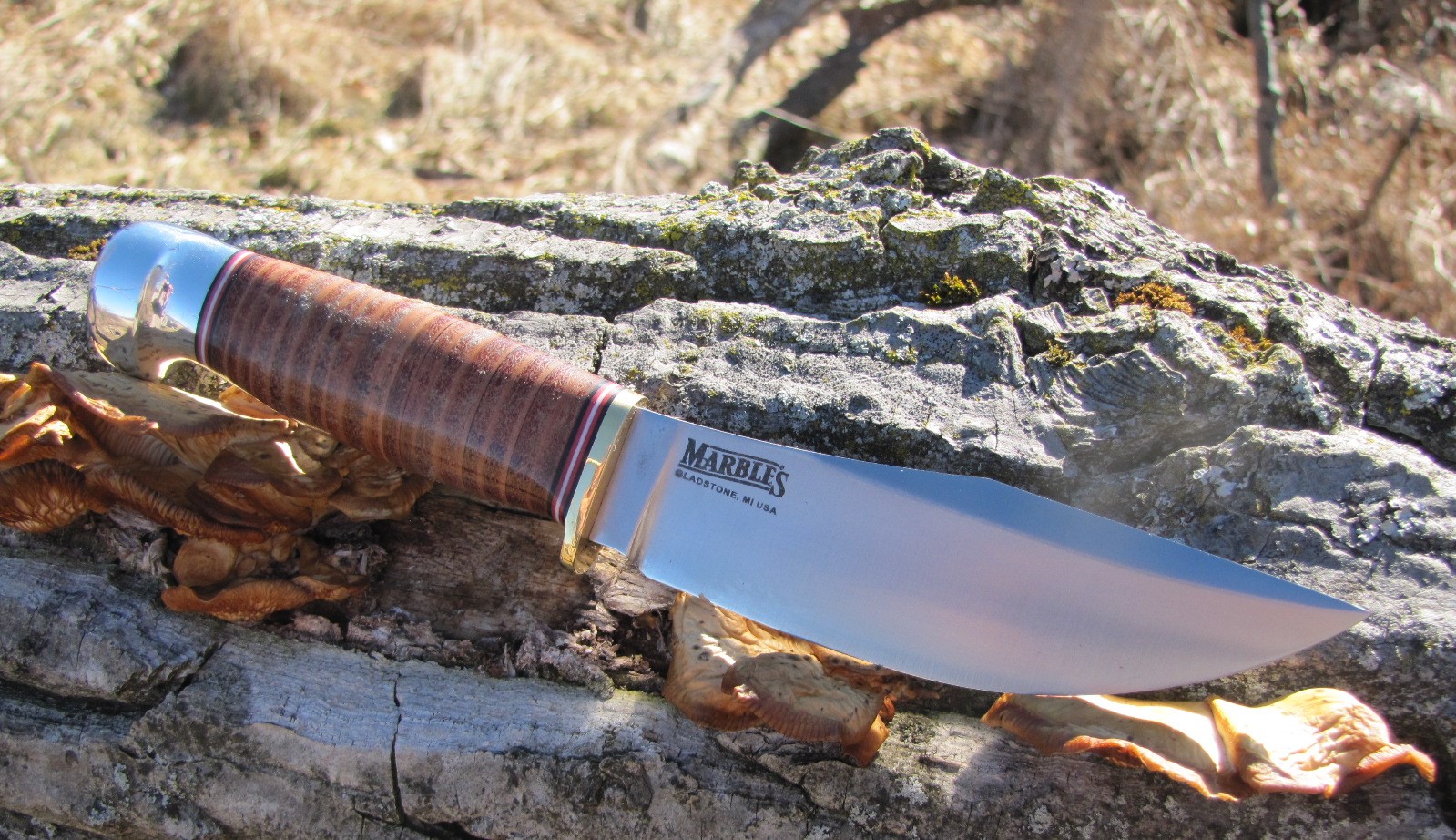 Survival Tips, Tools, and Techniques Marble's Woodcraft 100th