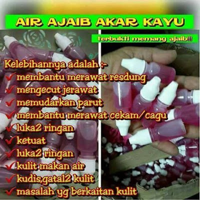 Image result for AIR AJAIB AKAR KAYU AMIRNA