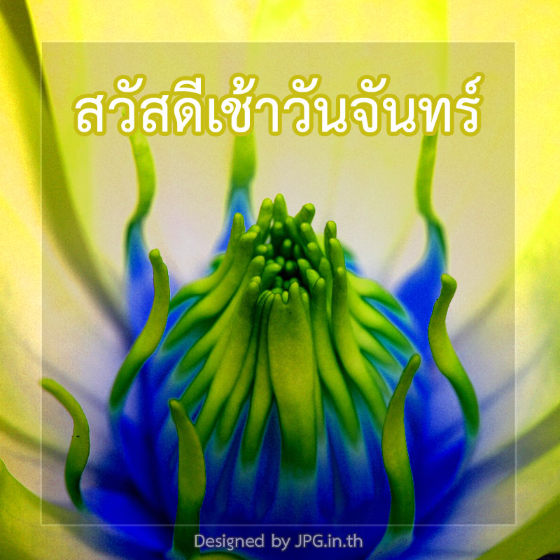 My Image 64