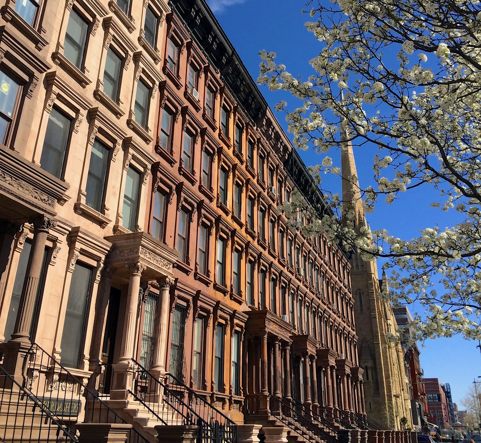 H A R L E M + B E S P O K E NUMBER 1 MOUNT MORRIS PARK HISTORIC DISTRICT