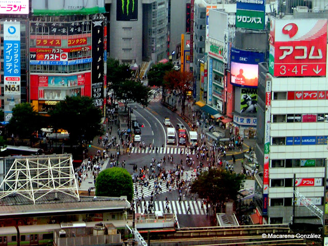 CRUCE DE SHIBUYA, TOKIO. JAPÓN