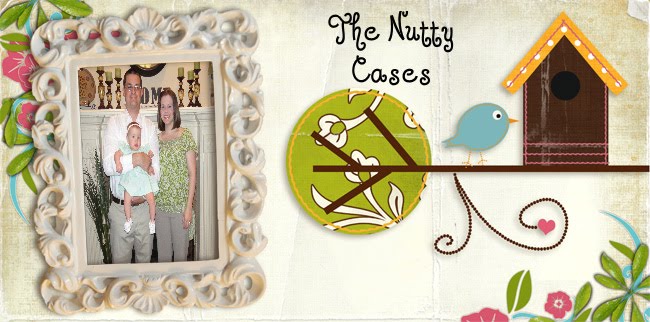 The Nutty Cases