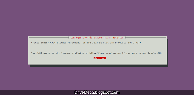 drivemeca instalando java en linux paso a paso