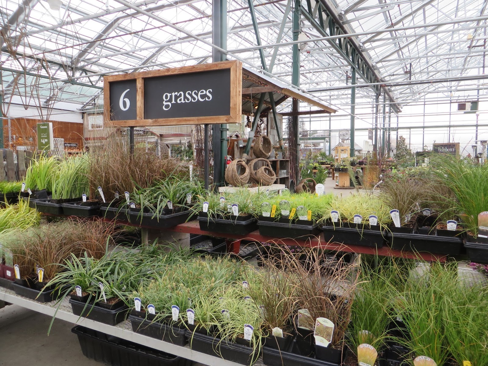 Nursery Visit Sky Nursery Seattle