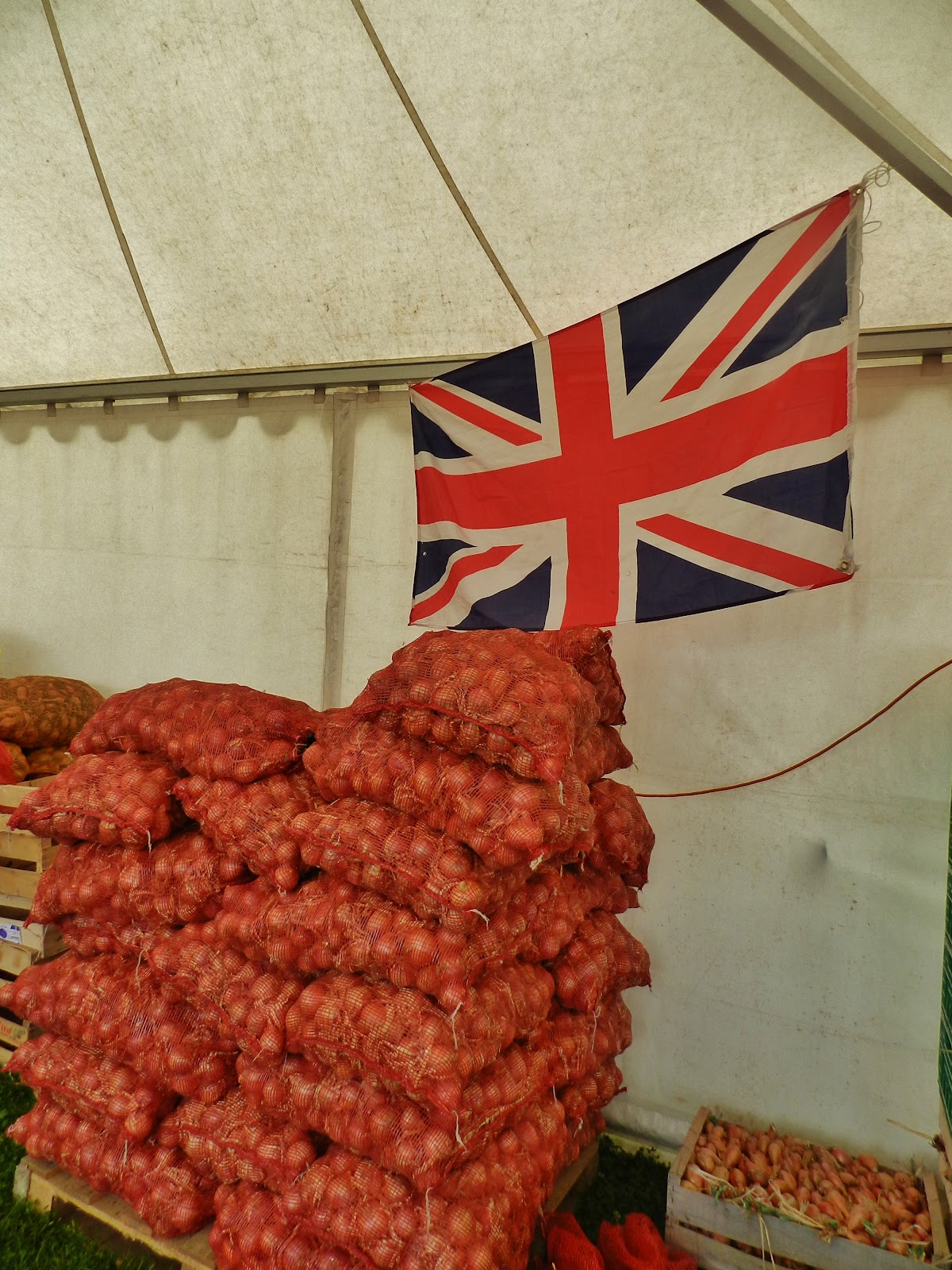 Looking for Johnny Onions Fête de l'Oignon Roscoff, 1819 August 2012
