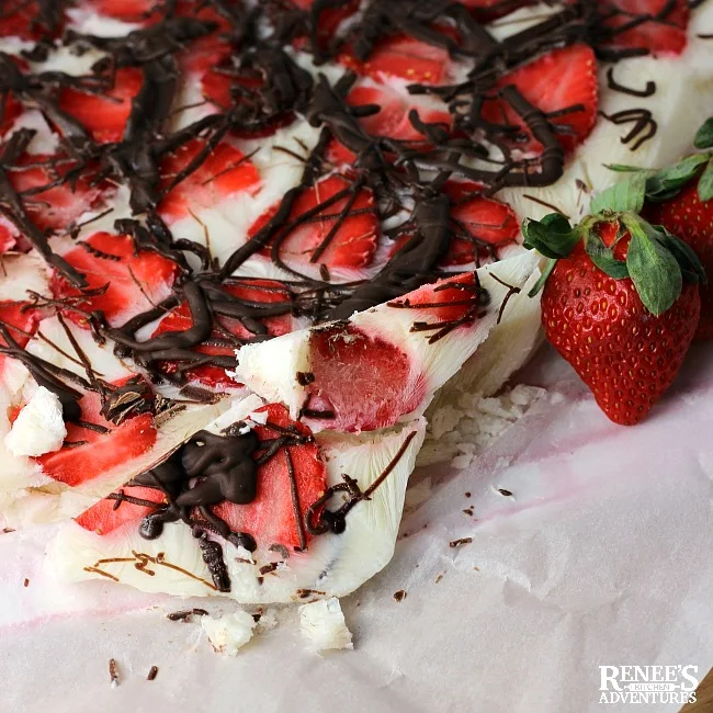 Frozen Strawberry Chocolate Yogurt Bark | Renee's Kitchen Adventures