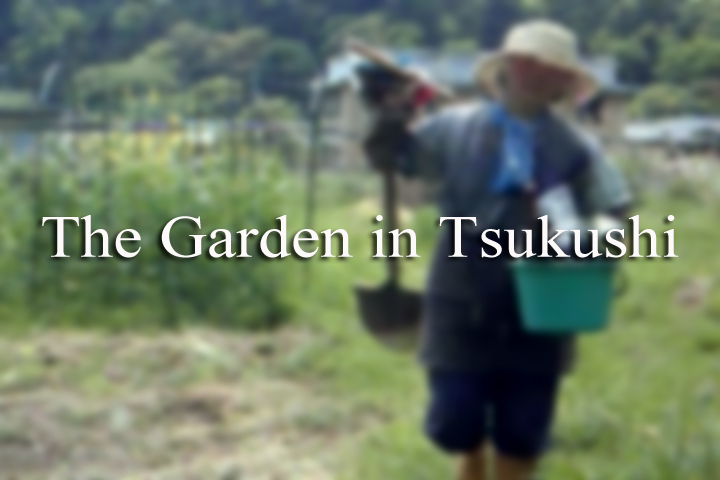 The Garden in Tsukushi