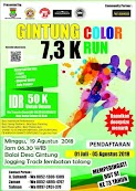 Gintung Color Run â€¢ 2018