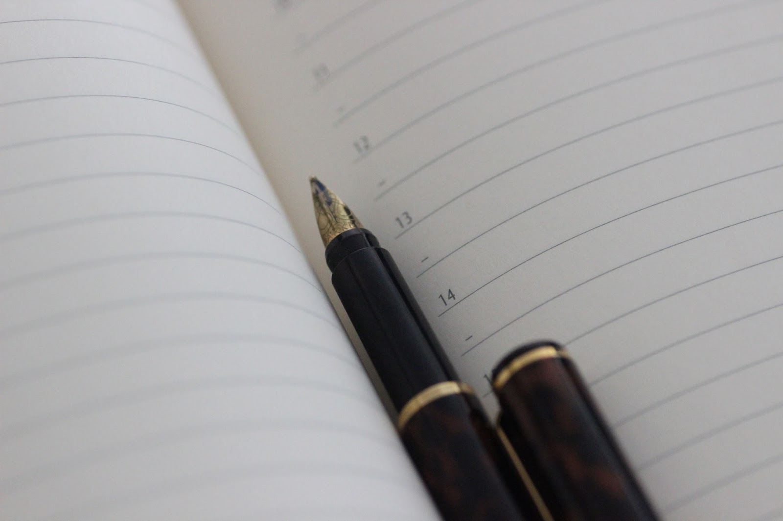 parker rialto parker 88 fountain pen