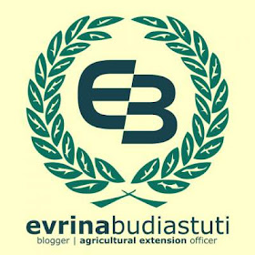 http://evrinasp.com
