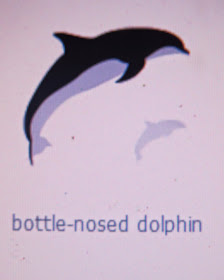 Dolphin, Silhouette Cameo, silhouette design, August Silhouette Challenge