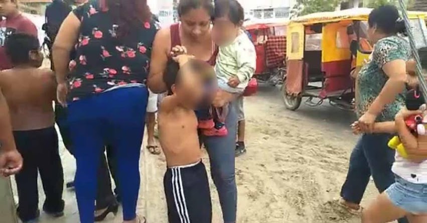 Más de 50 escolares de primaria son atacados por enjambre de abejas en la provincia de Sullana - Piura Más de 50 escolares de primaria son atacados por enjambre de abejas en la provincia de Sullana - Piura