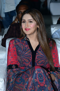Actress Sayyeshaa Saigal Stills At Bandobast Movie Pre Release Actress Sayyeshaa Saigal Stills At Bandobast Movie Pre Release