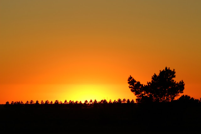 Manitoba sunset 