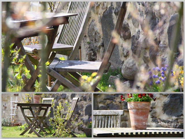 Teacup-In-The-Garden: for a teacup in the garden