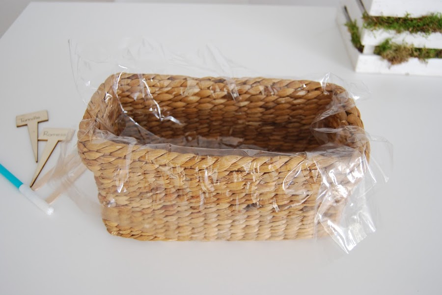 Pequeño huerto de aromáticas para hacer con niños y regalar