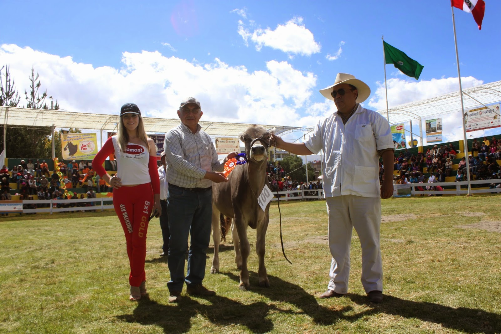 NOTICIAS HUANCAYO PERU DEL 24 AL 31 DE JULIO EN EL CAMPO FERIAL DE