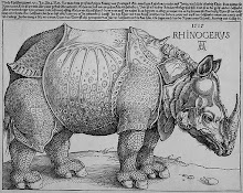Durero: Rinoceronte